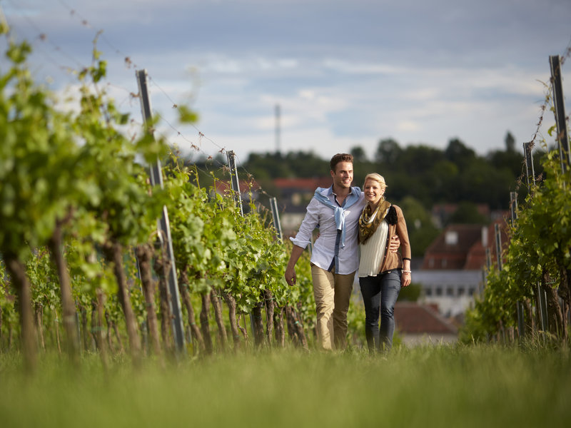 Spaziergang durch die Weingärten bei Langenlois © LOISIUM