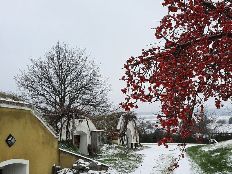 VIA.CELLA VINARIA. Kellerviertel Edelstal 