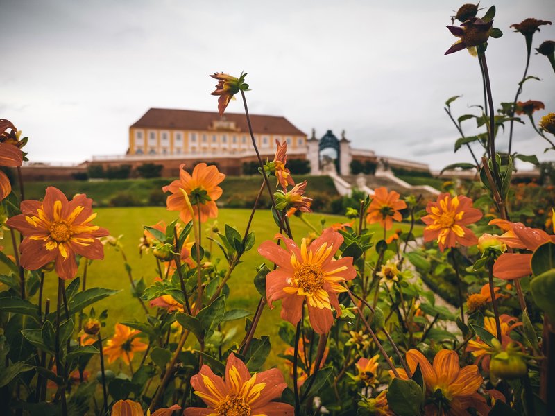 Schloss Hof © Niederösterreich Werbung / Michal Petrů