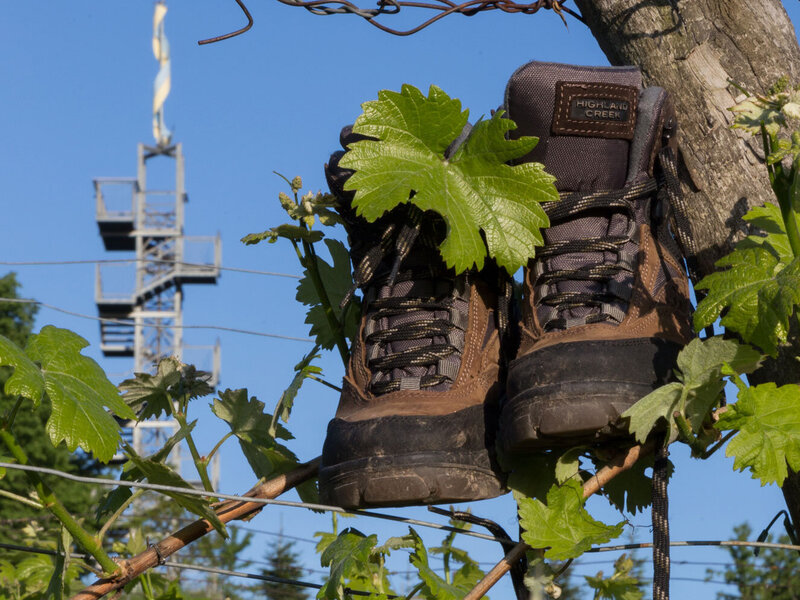 Korkenzieher Traismauer, Tullner Donauraum