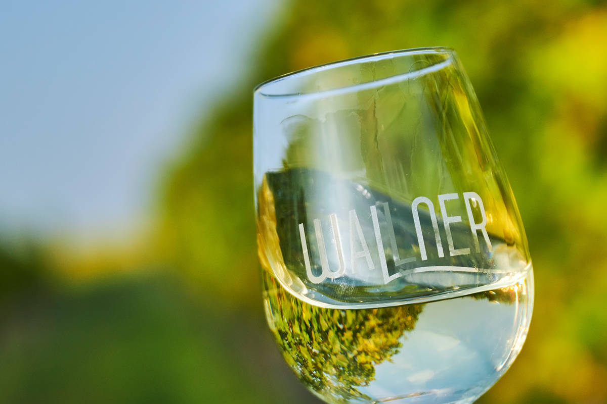 Wallnerwein