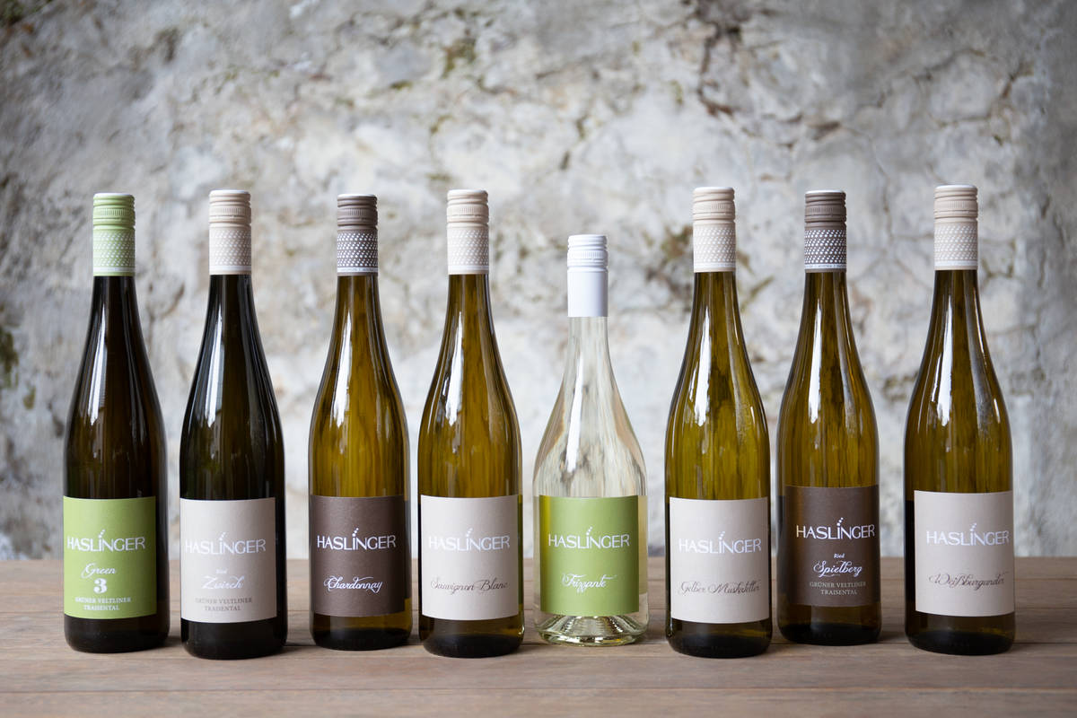 2020-03_winzerhof-haslinger-164