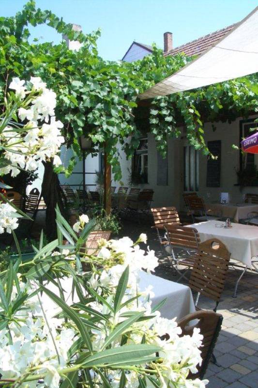 Garten1