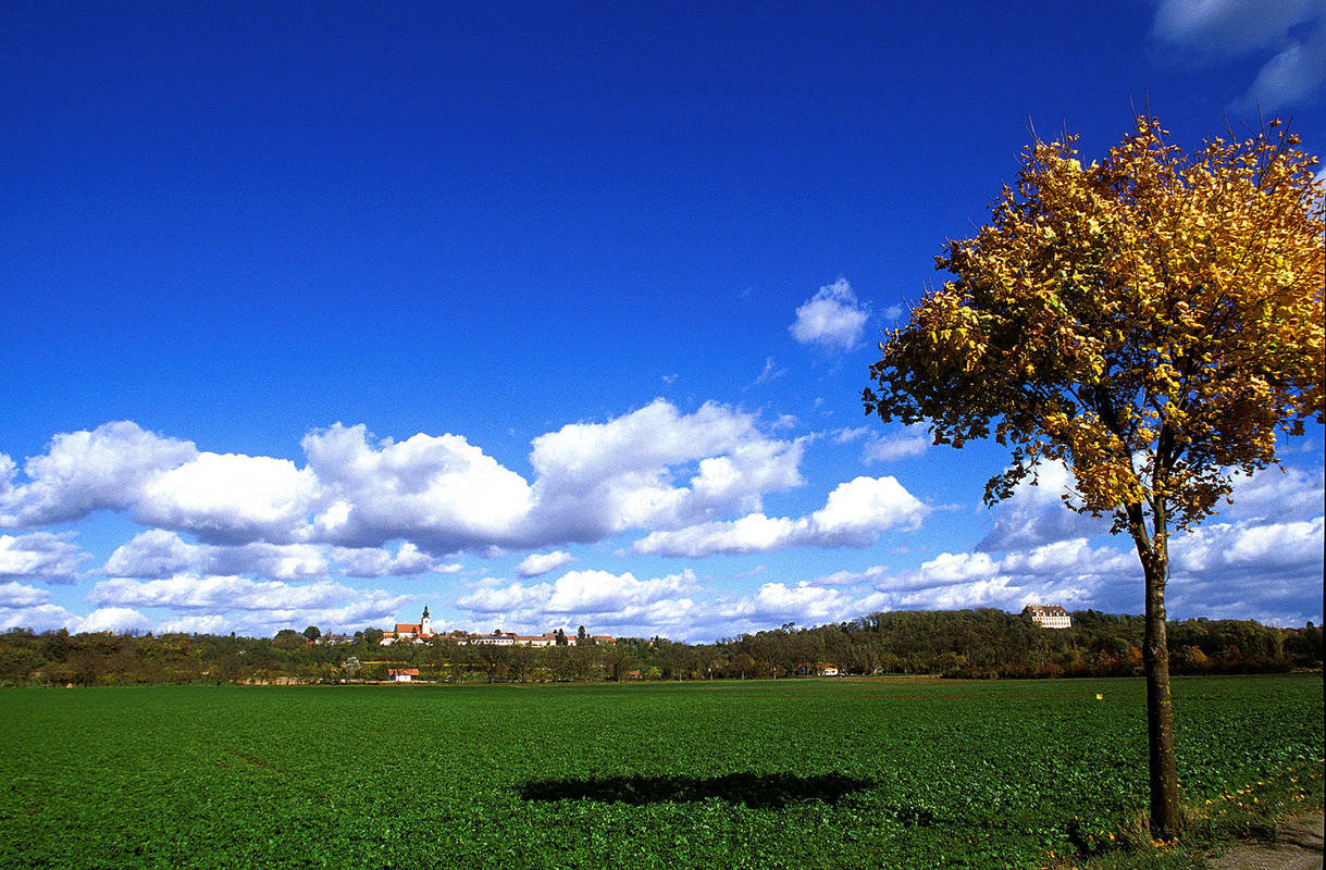 Blick auf Stetteldorf
