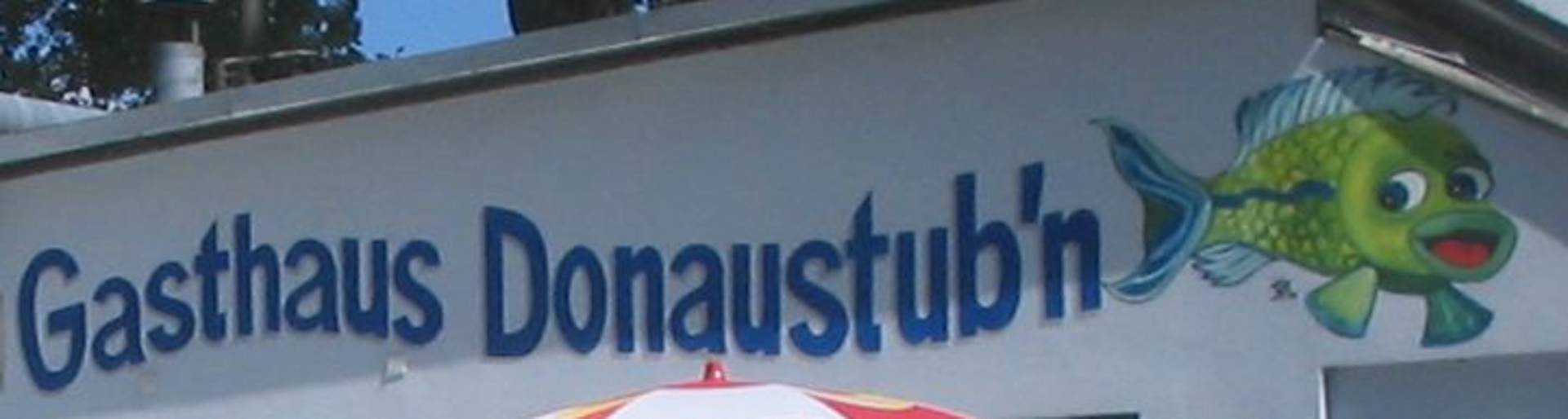 donaustube_logo