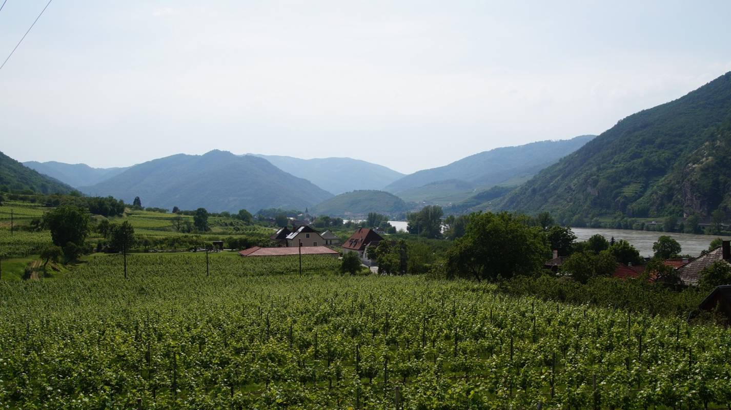 dsc01222