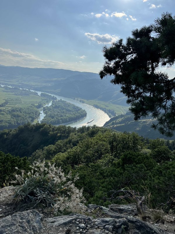 Ausblick von der Dürnsteiner Kanzel