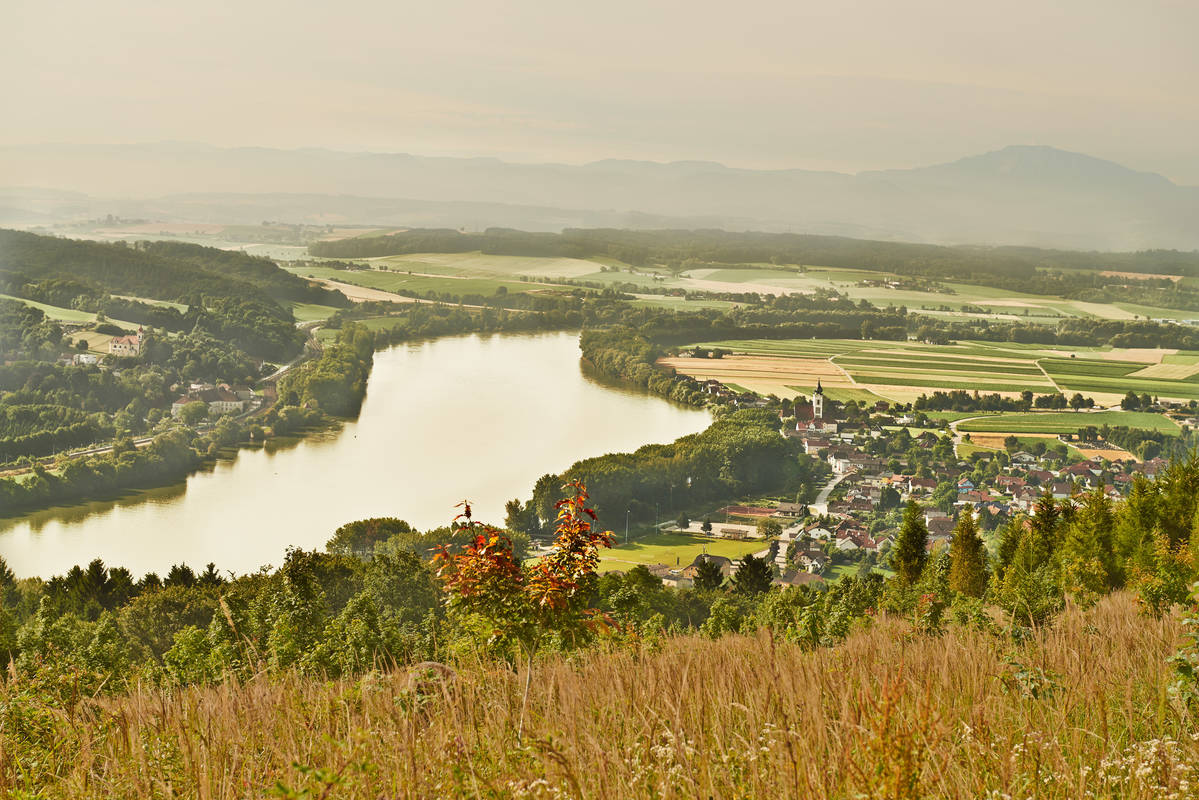 Sommer an der Donau im Nibelungengau