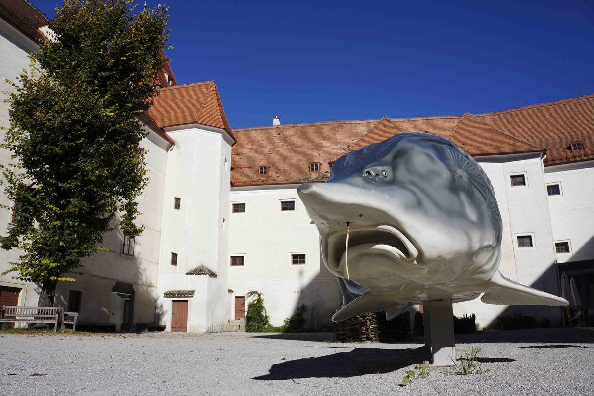 Innenhof schlossORTH Nationalpark-Zentrum, Orth/Donau