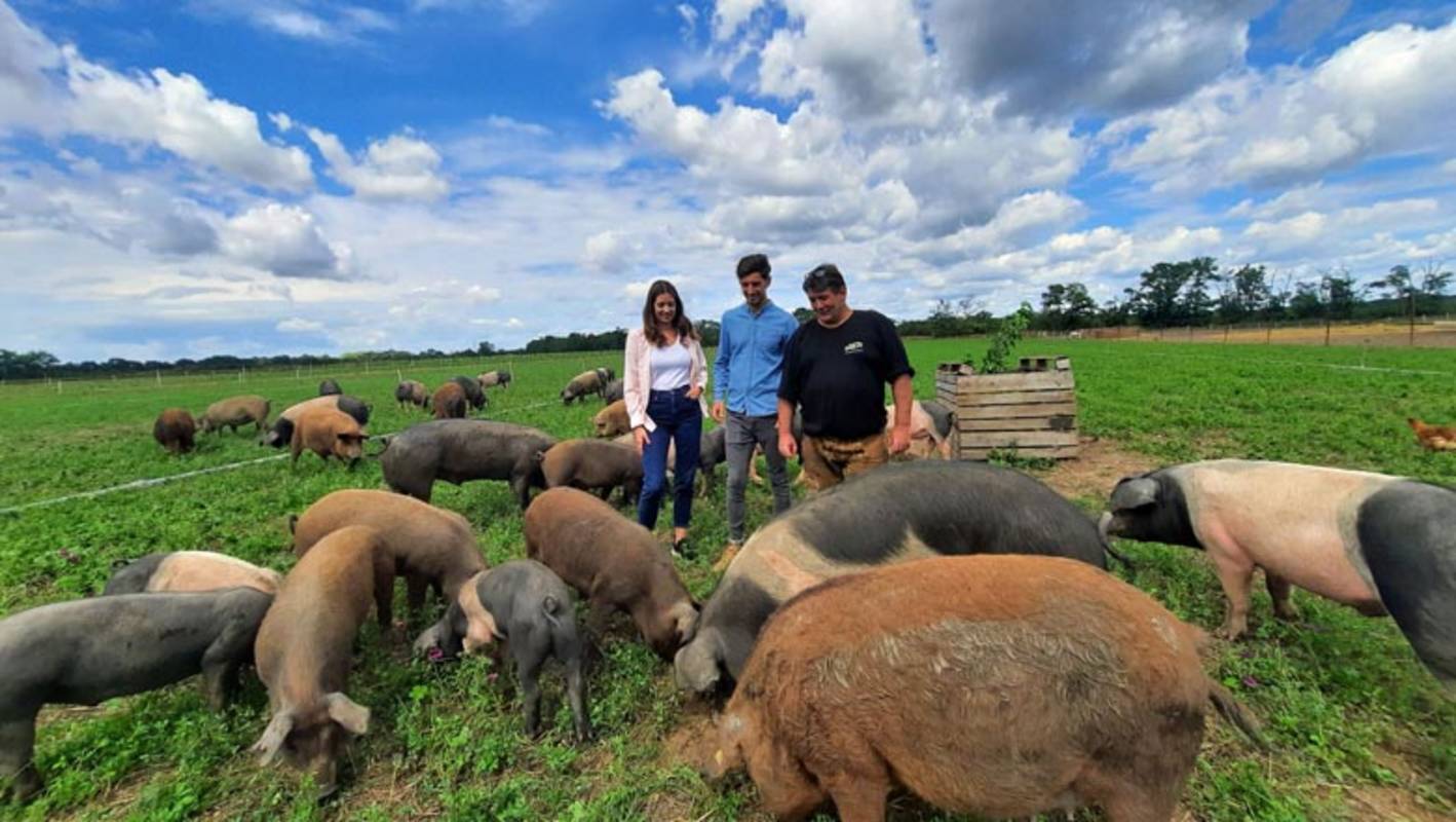 Guided tour of the Hubicek organic pig pasture