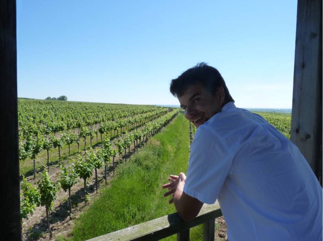 Winery Rebenhof Mantler