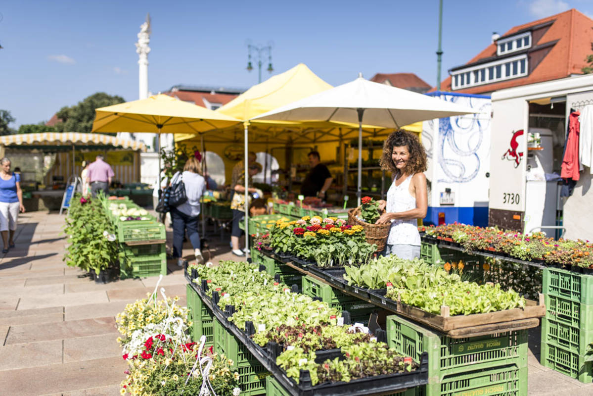 Naschmarkt Tulln