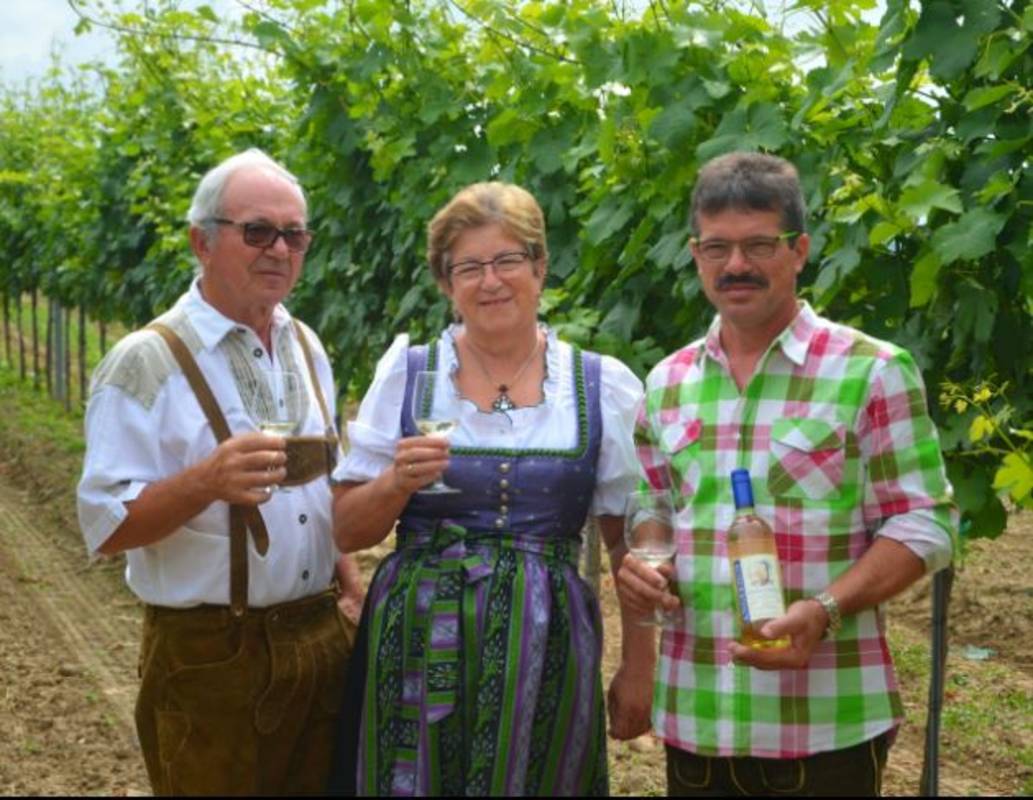 Weinbau Angerhof