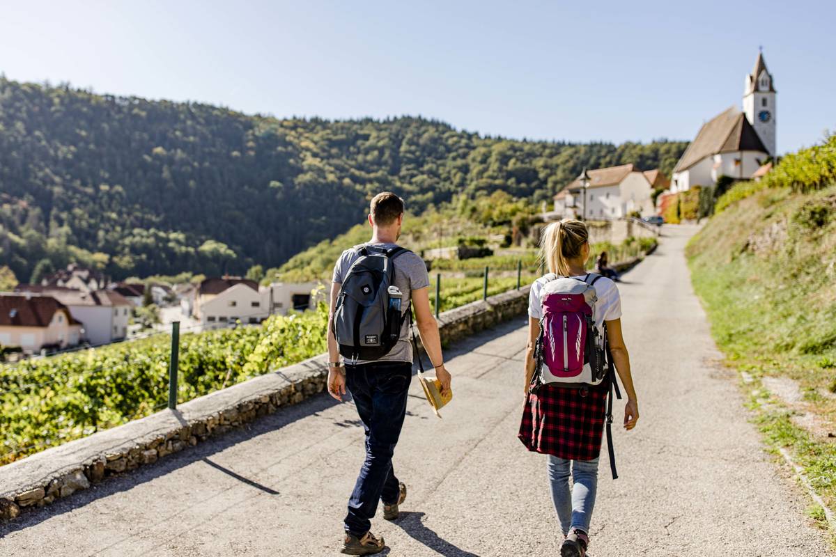 Weitwanderweg Kremstal-Donau zur Ruine Senftenberg