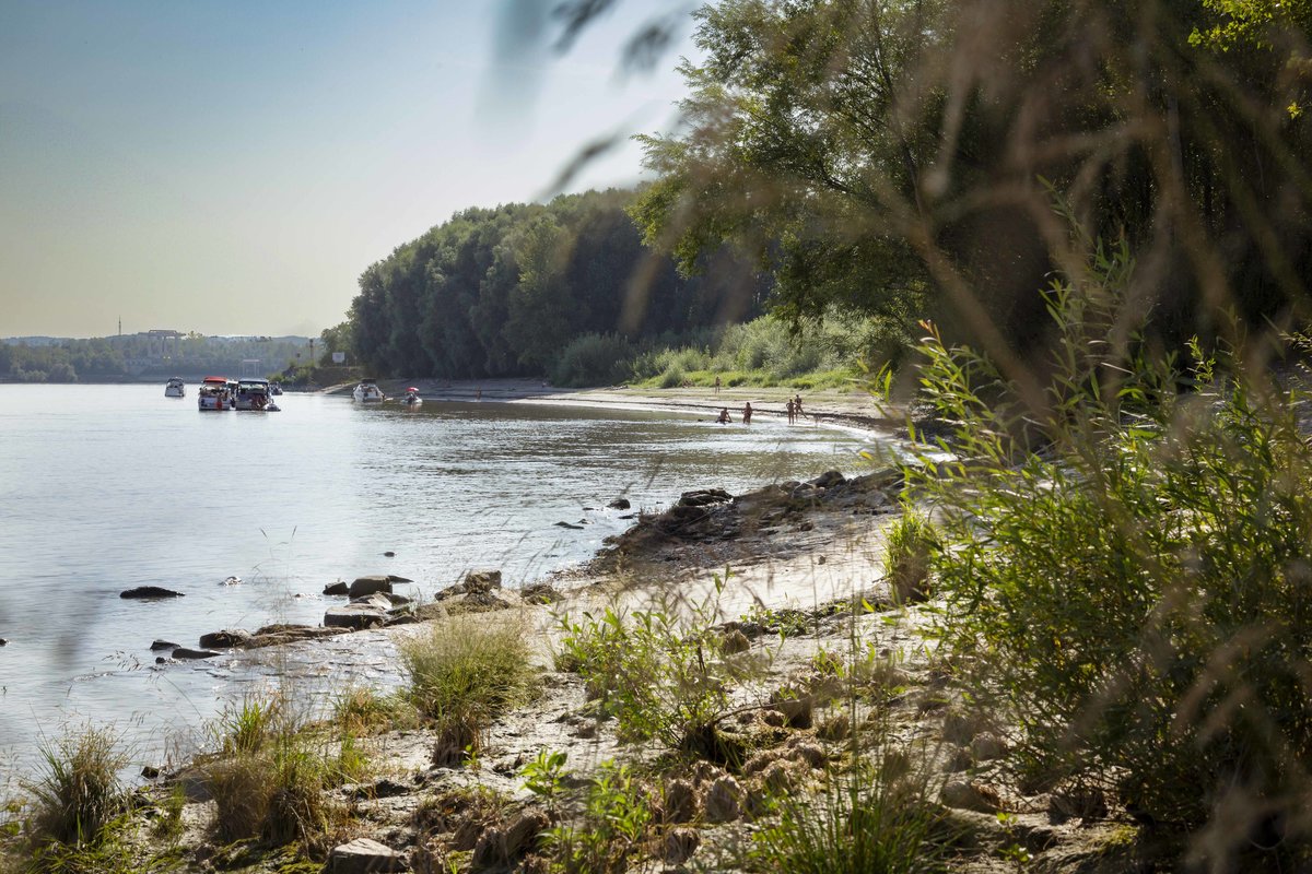 WNK_Donaustrand_Luberegg(c)Donau_Niederoesterreich_Barbara_Elser_1