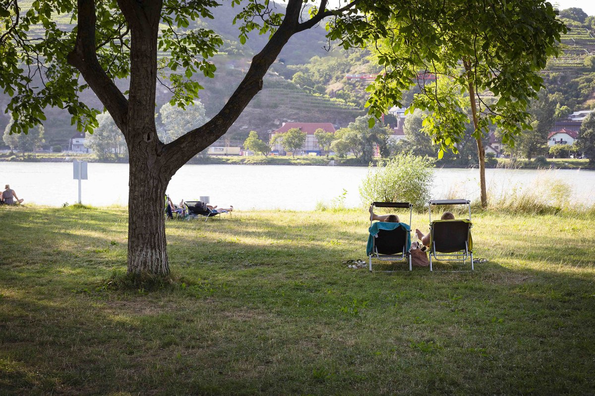 Danube beach in Mautern