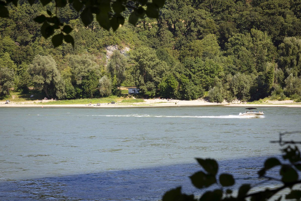 Pielach estuary near Melk